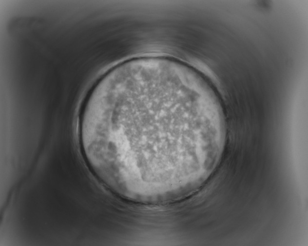 X0000088481472200706191358