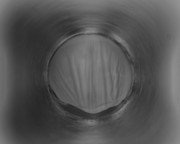 X0000088481473200706191358