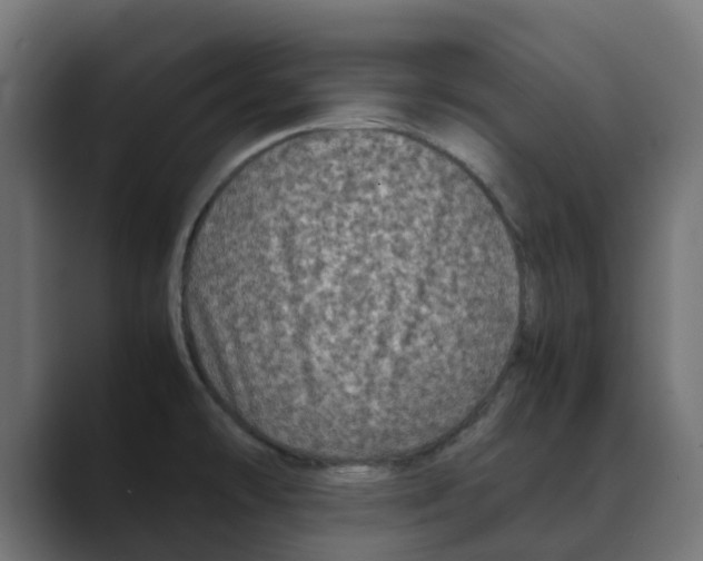 X0000088481478200706191358