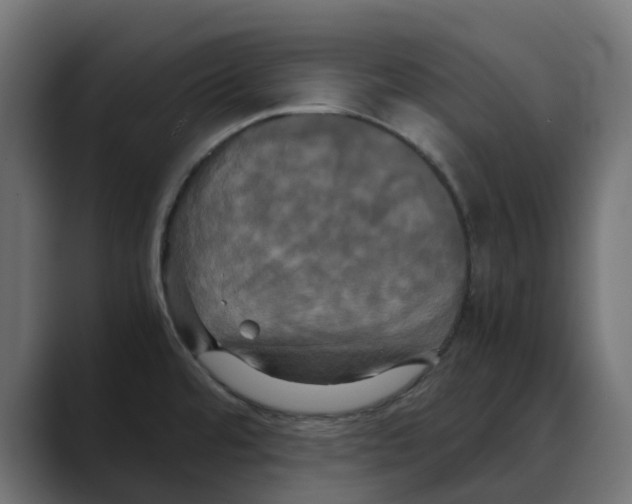 X0000088481480200706191358