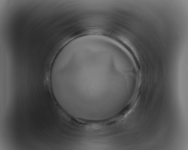 X0000088481481200706191358