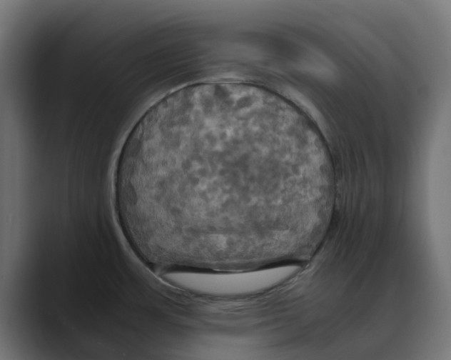 X0000088481483200706191358