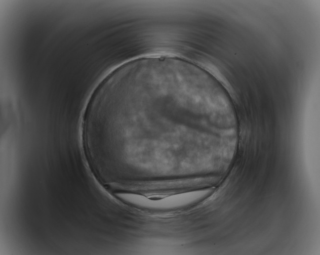 X0000088481484200706191358