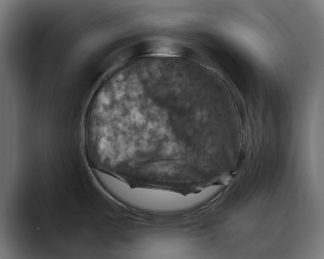 X0000088481487200706191358