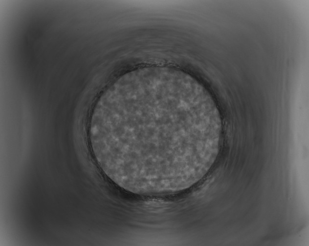 X0000088481489200706191357