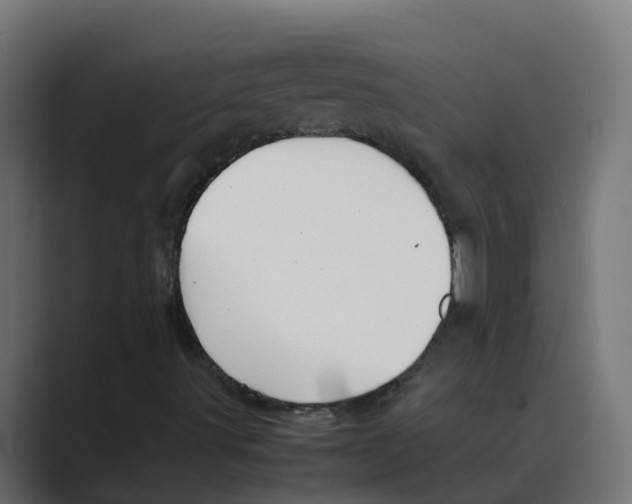 X0000088481491200706191357