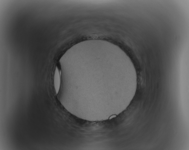 X0000088481493200706191357