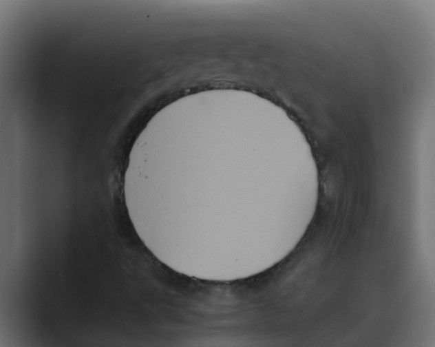 X0000088481495200706191357