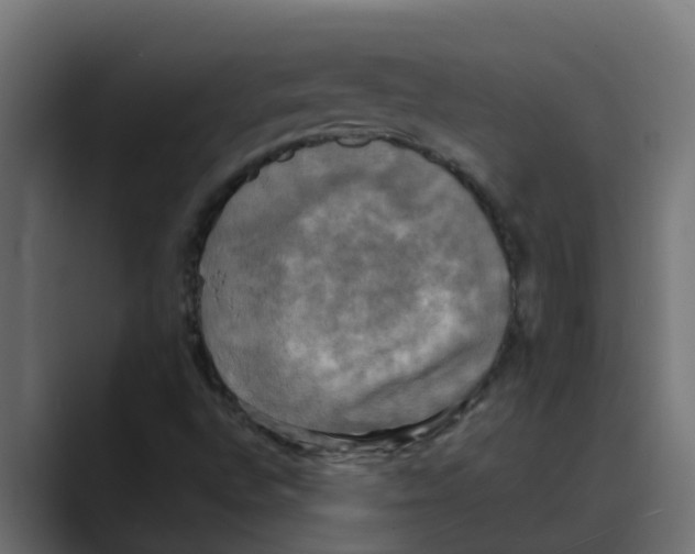 X0000088481496200706191357