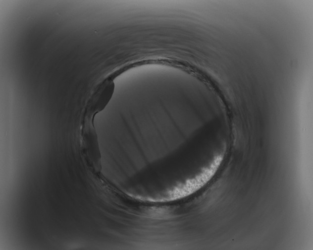 X0000088481497200706191357