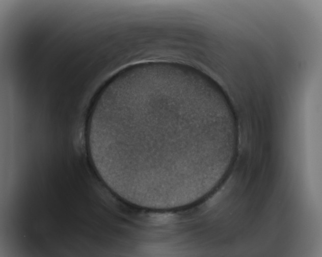 X0000088481498200706191357