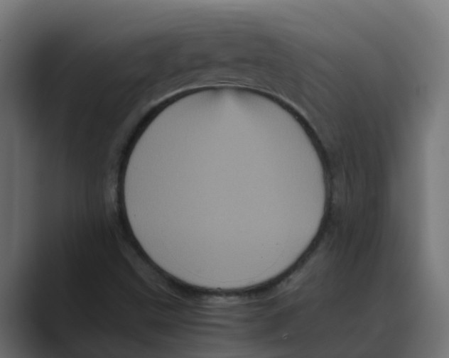 X0000088481499200706191357