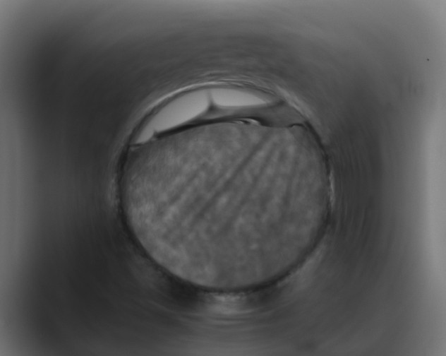 X0000088481501200706191357