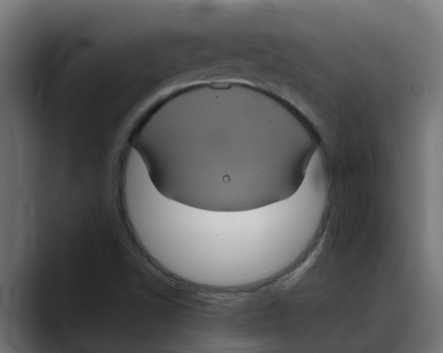 X0000088481502200706191357