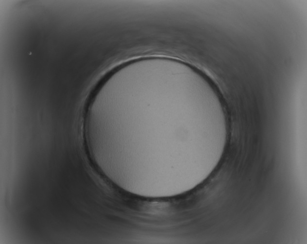 X0000088481503200706191357