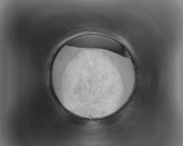 X0000088481504200706191357