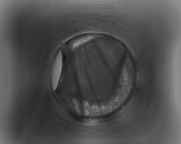 X0000088481505200706191357