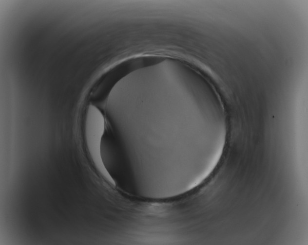 X0000088481506200706191357