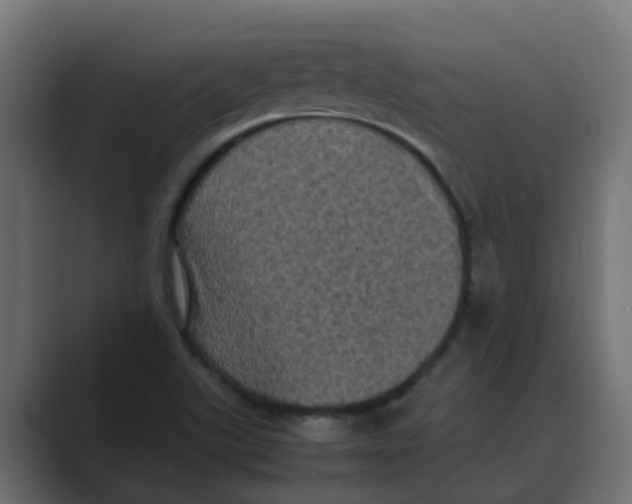 X0000088481507200706191357