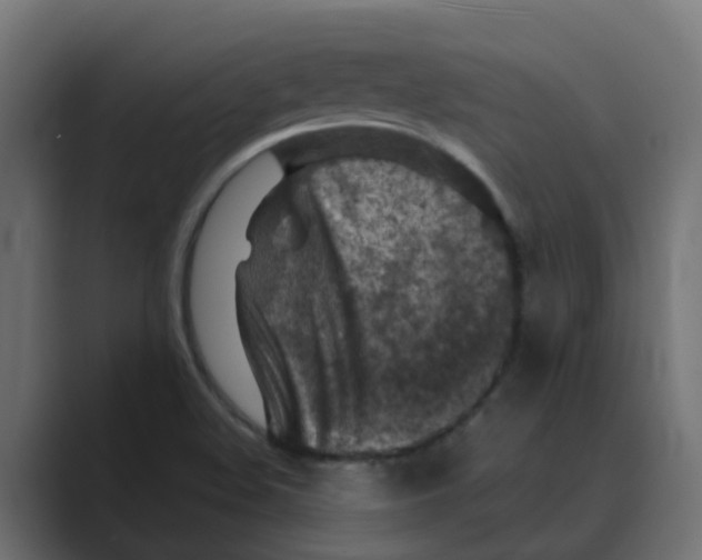 X0000088481508200706191357