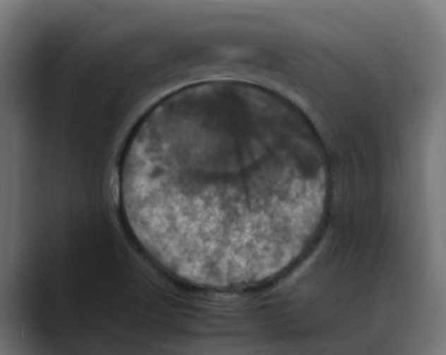 X0000088481509200706191357