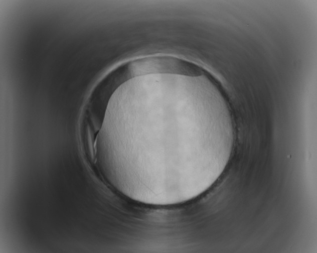 X0000088481510200706191357