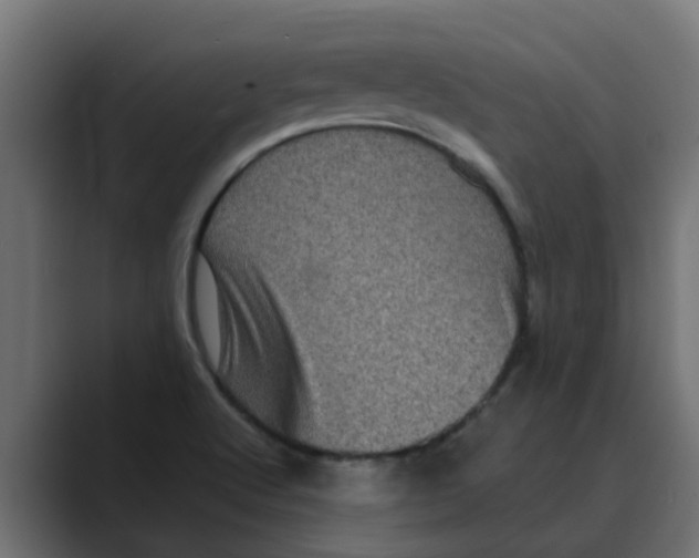 X0000088481512200706191357