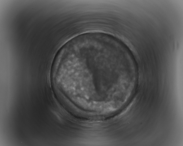 X0000088481513200706191357