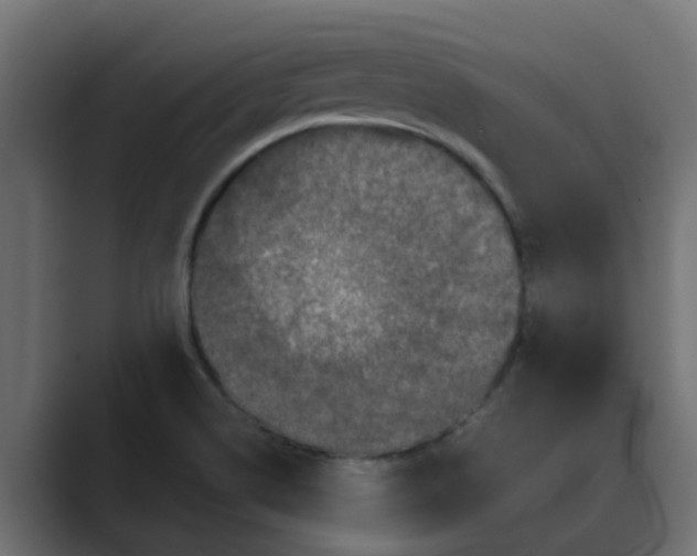 X0000088481514200706191357