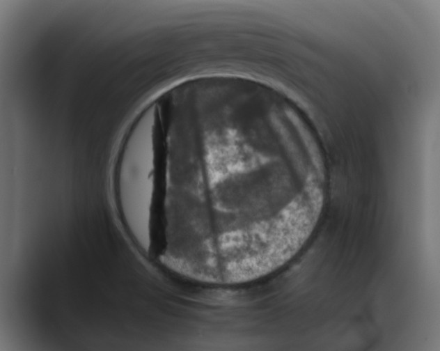 X0000088481517200706191357