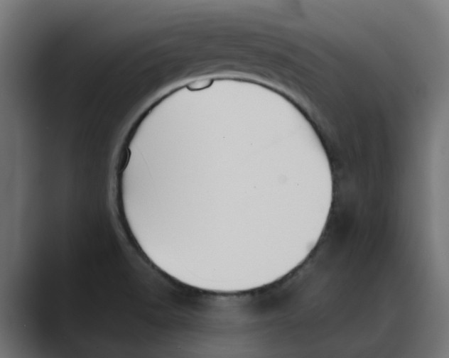 X0000088481518200706191357