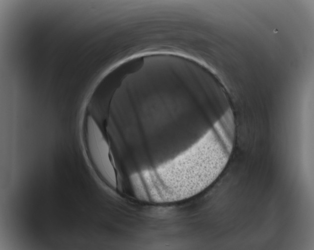 X0000088481519200706191357