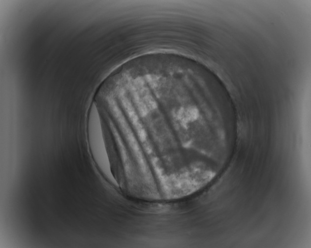 X0000088481521200706191357