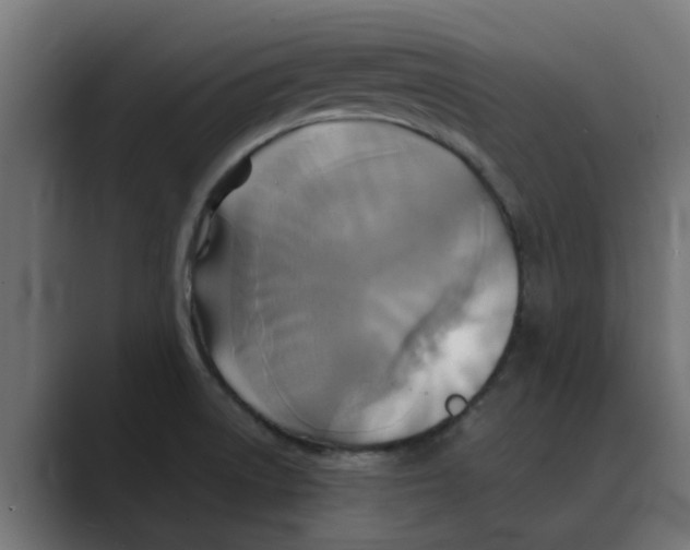 X0000088481522200706191357