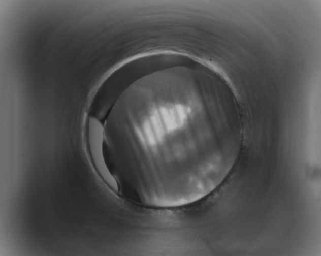 X0000088481524200706191357