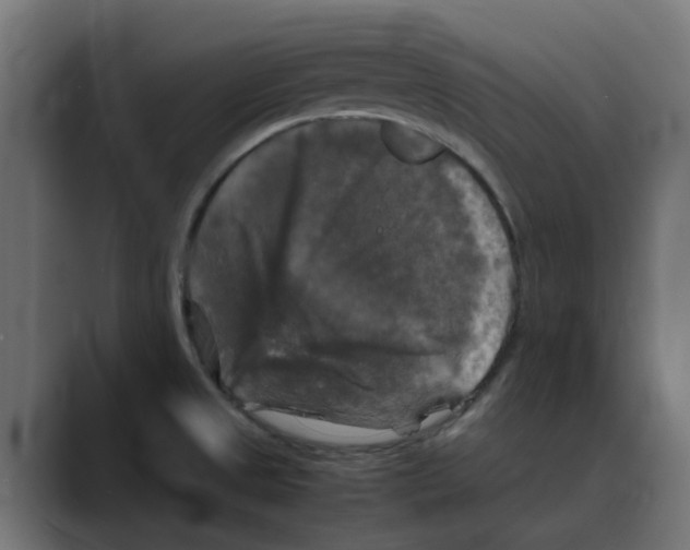 X0000088481525200706191357