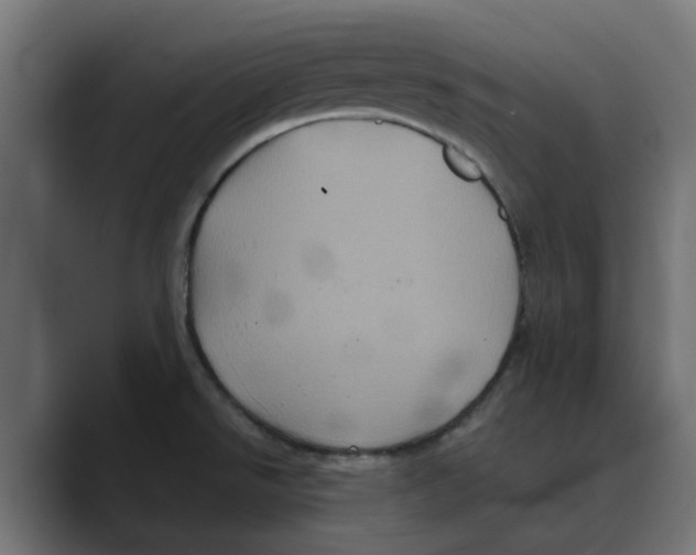 X0000088481526200706191357