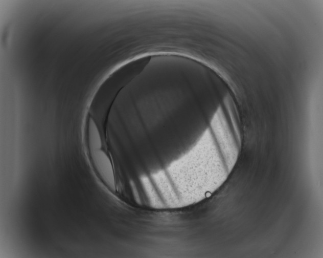 X0000088481527200706191357