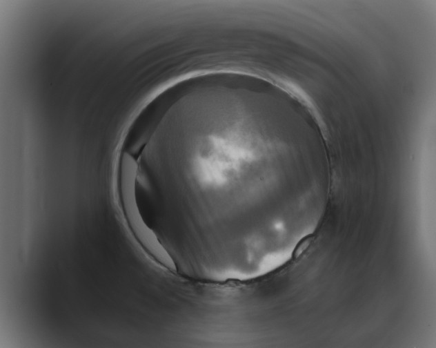 X0000088481528200706191357