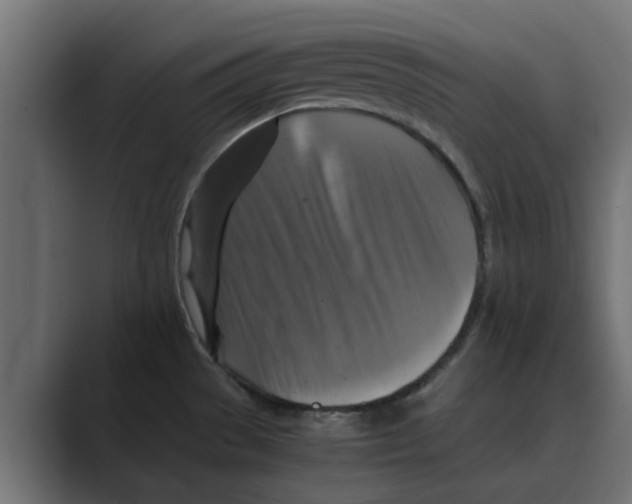 X0000088481529200706191357