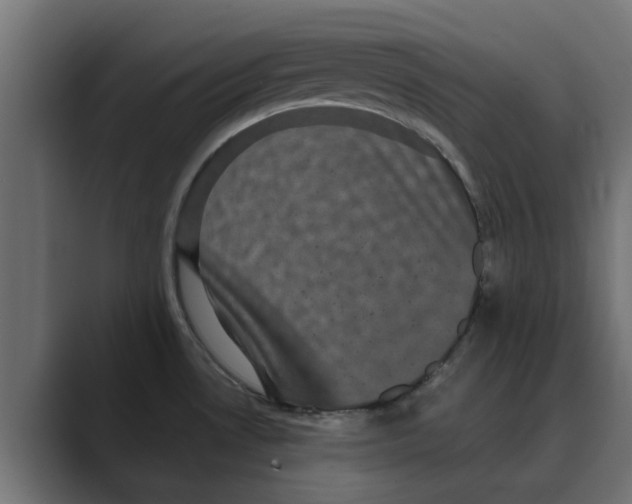 X0000088481530200706191357