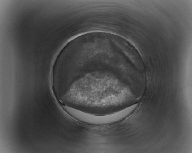 X0000088481531200706191357