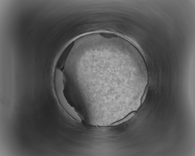 X0000088481532200706191357