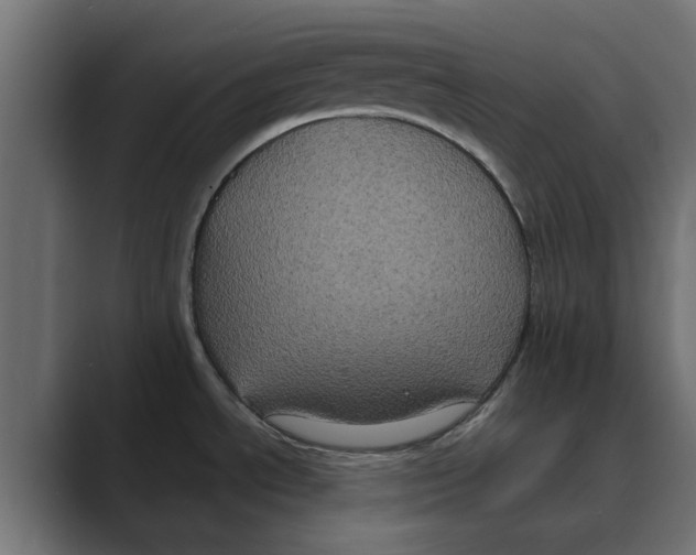 X0000088481534200706191357