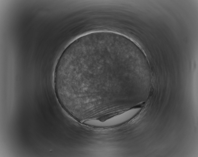 X0000088481535200706191357