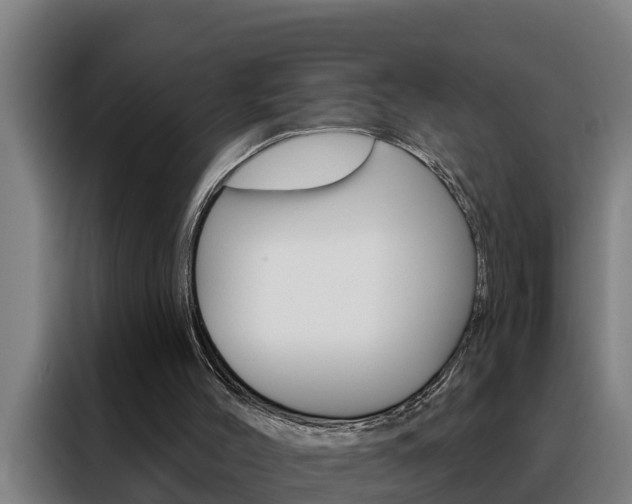 X0000088490004200705221032
