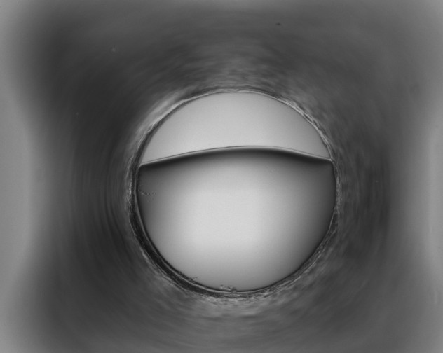 X0000088490005200705221032