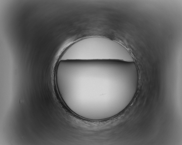 X0000088490006200705221032