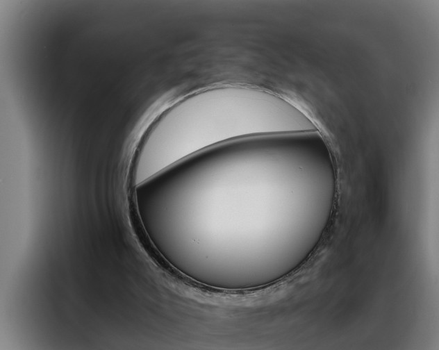 X0000088490007200705221032