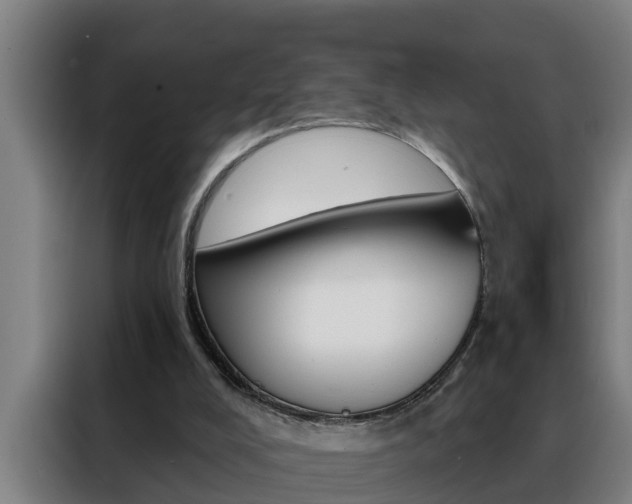X0000088490008200705221032